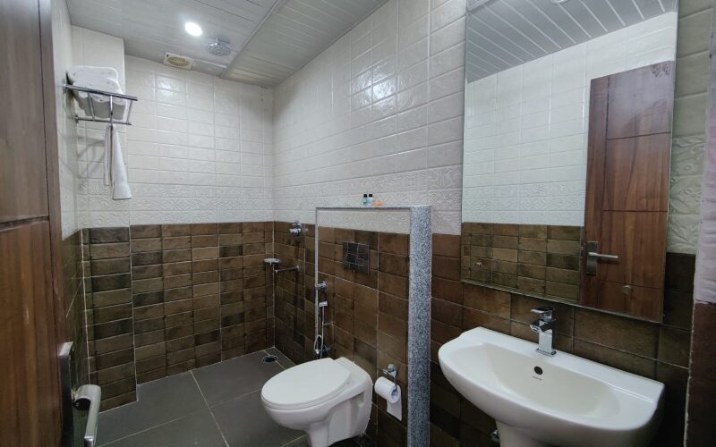 Aliza Standard Non View Room Without Balcony